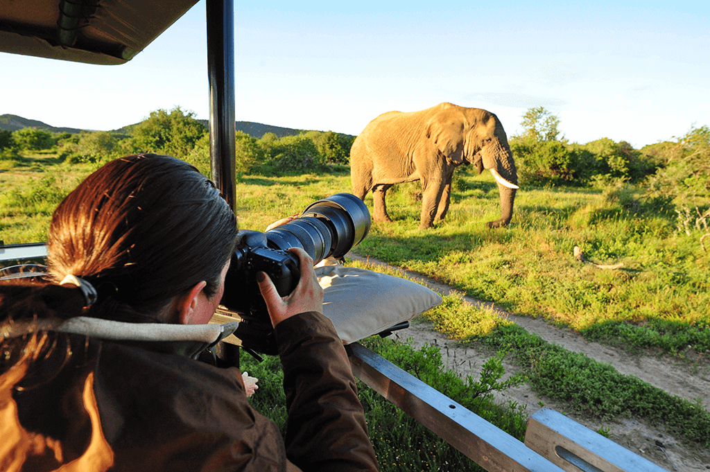 photographers Safari